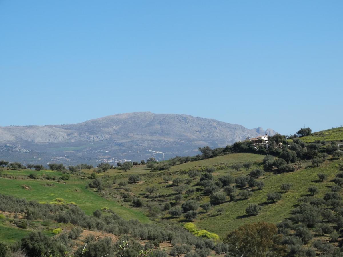 B&B Cortijo Loma Leon Cutar ภายนอก รูปภาพ
