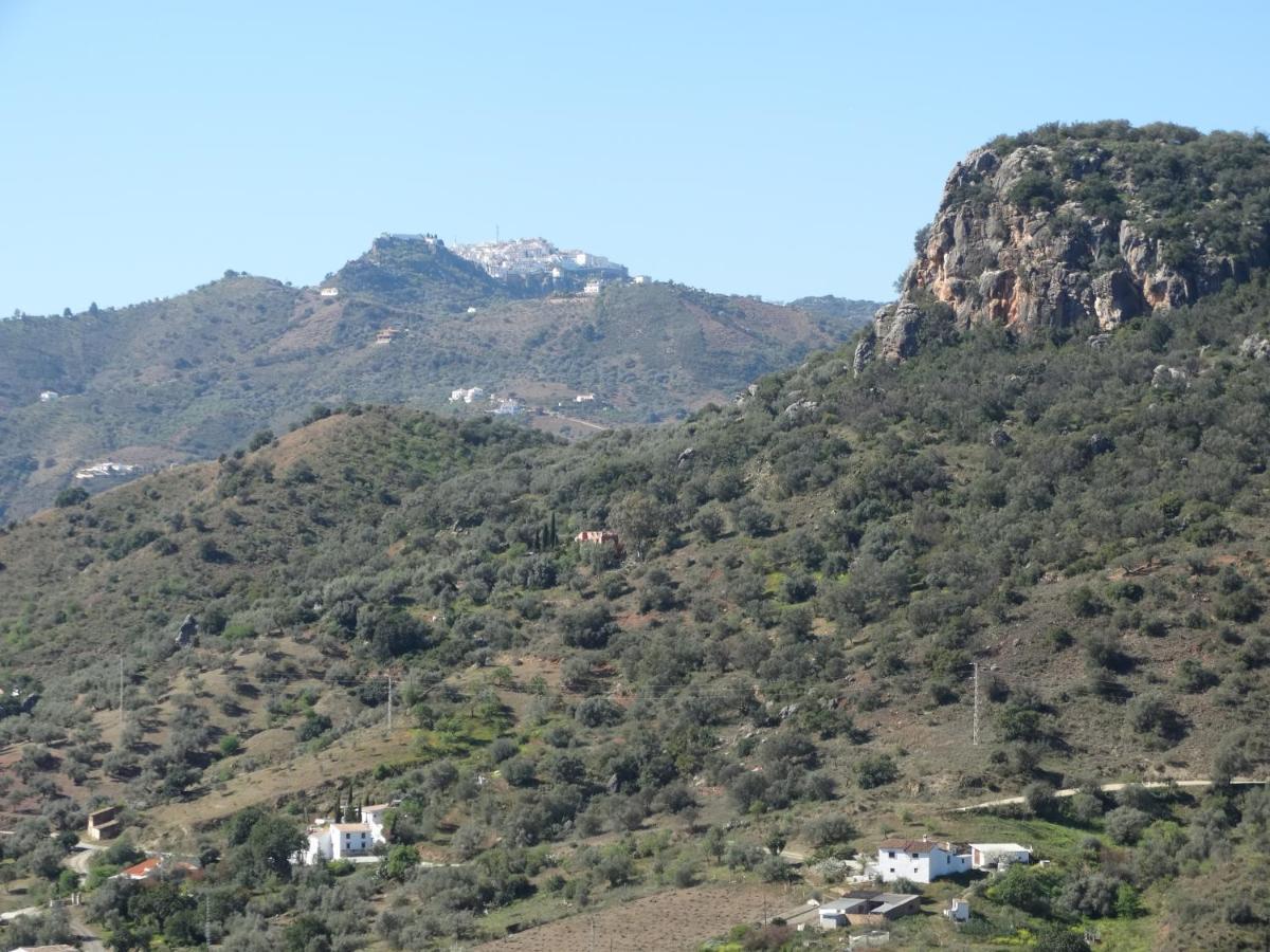 B&B Cortijo Loma Leon Cutar ภายนอก รูปภาพ